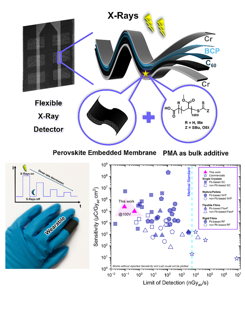 Graphical abstract for Highly Sensitive X-ray Detectors with Polymer-Perovskite-Embedded Flexible Teflon Membranes